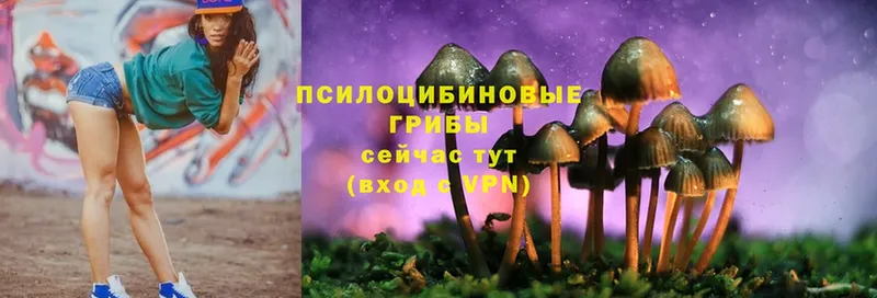 Галлюциногенные грибы Magic Shrooms  наркошоп  Калтан 